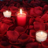 Red Rose Petals and Candles
