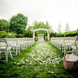 Freeze Dried Rose Petals - Ivory